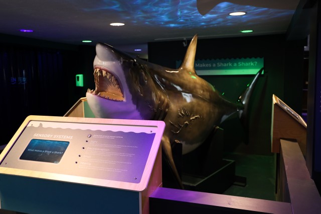 Visit Provincetown Shark Center Provincetown Admission Ticket in Provincetown, Massachusetts, USA