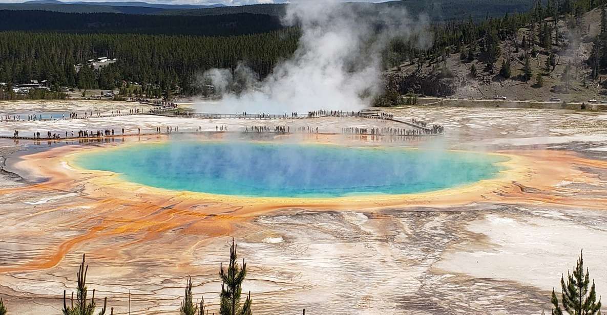 From Gardiner: Yellowstone, Old Faithful & Hot Springs Tour