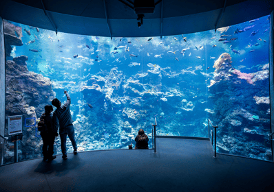 San Francisco: California Academy of Sciences Entry Ticket | GetYourGuide