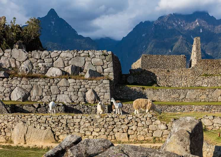 Tour Cusco y Machu Picchu 4 dias 3 noches | GetYourGuide