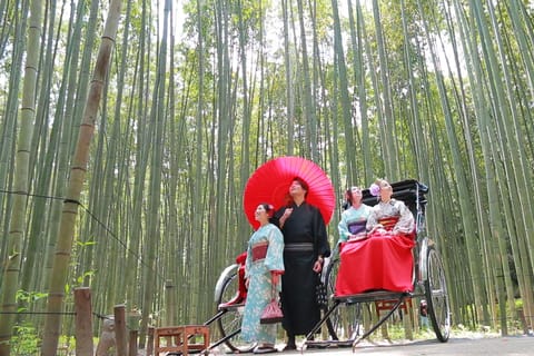 From Osaka: Guided Day Trip to Kyoto and Nara