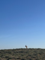 Day trip souss massa national park & silver city with 4*4 - Housity