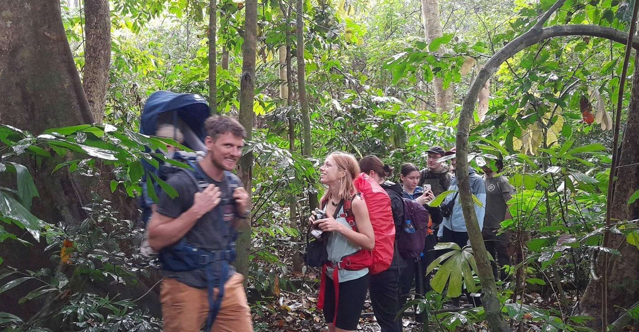 From Ninh Binh, Cuc Phuong National Park Group Day Tour - Housity