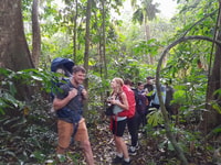 De Ninh Binh, Cuc Phuong National Park Group Day Tour - Housity