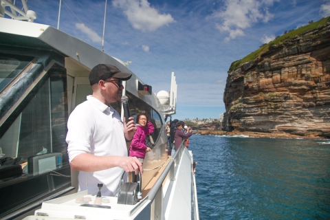Sydney: crucero de avistamiento de ballenas en catamaránCrucero de descubrimiento de 3 horas con salida de Circular Quay