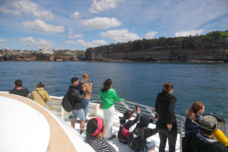 Sydney: rejs z obserwacją wielorybów katamaranem3-godzinny rejs wycieczkowy z Circular Quay