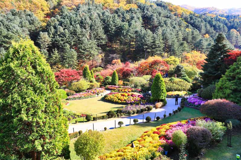 Ab Seoul Nami Island, Garten der & Rail Bike GetYourGuide