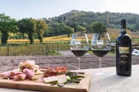 Montalcino, tour privato di cantina, degustazione di vini e antipasti - Housity