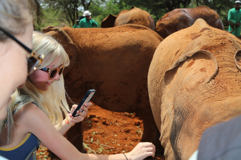 Tour Nairobi National Park Elephant Project Giraffe CentreNairobi National Park Elephant Project Giraffe Centre