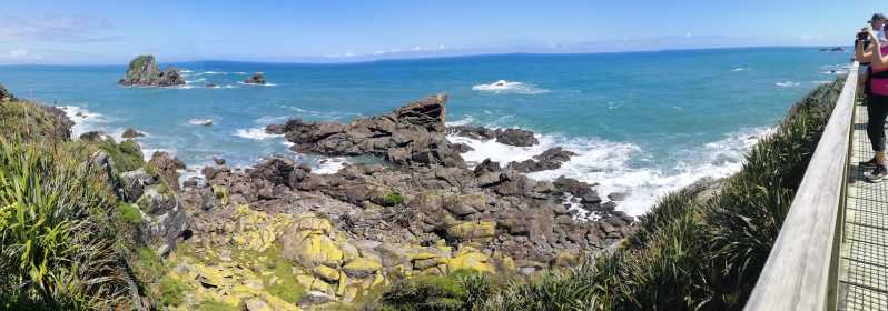 From Greymouth: Highlights West Coast Day Tour