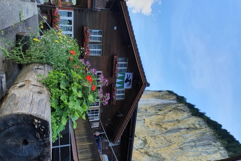Depuis Montreux : Excursion d'une journée dans la vallée des cascades et les gorges d'Aareschlucht