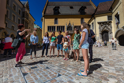 Regensburg: Stadsrondleiding met gids door de oude binnenstad