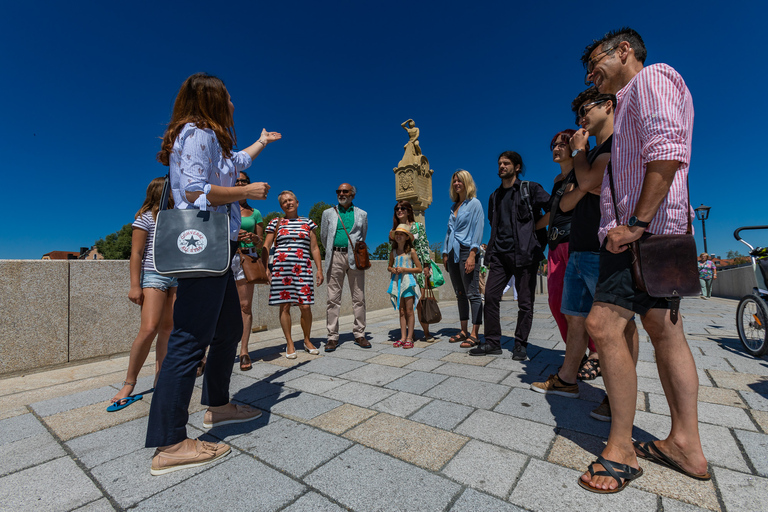 Ratisbona: Visita guiada a pie por la ciudad vieja