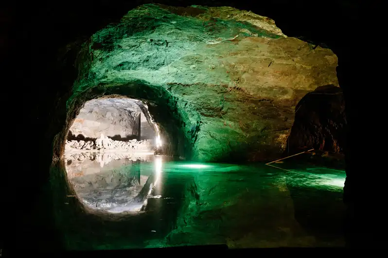 The BEST Mödling Tours 2024 - FREE Cancellation | GetYourGuide