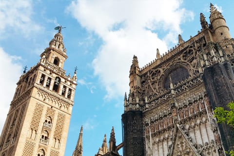 From Costa del Sol: Guided Tour of Seville