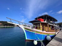 Dubrovnik, Elaphite Islands Cruise with Lunch and Drinks - Housity