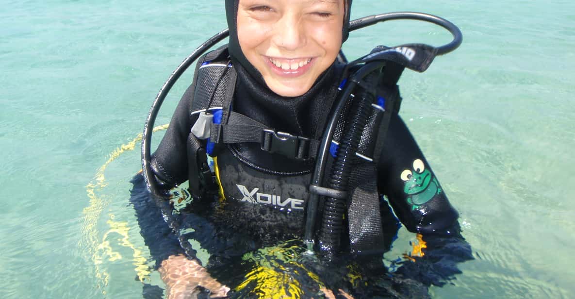 Naxos Discover Scuba Diving Your 1rst experience diving GetYourGuide