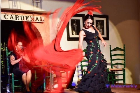 Cordoue : Tablao Flamenco El Cardenal TicketCordoue : Billet Flamenco El Cardenal