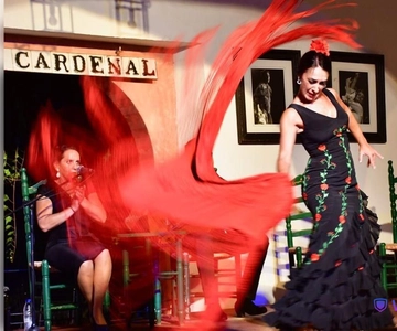 Córdoba: Flamenco Show Ticket with Drinks