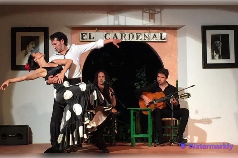 Córdoba: ticket Tablao Flamenco El CardenalCórdoba: El Cardenal Flamenco-ticket