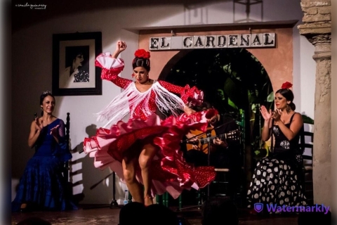 Cordoue : Tablao Flamenco El Cardenal TicketCordoue : Billet Flamenco El Cardenal