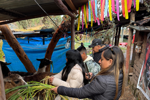 Itinéraire andin : danses, culture et points de vue de CuzcoRoute andine : danses, culture et points de vue de Cuzco
