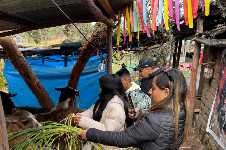 Itinéraire andin : danses, culture et points de vue de CuzcoRoute andine : danses, culture et points de vue de Cuzco