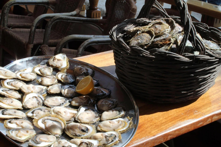 Dubrovnik: Tour privato del vino e della gastronomia nella penisola di PelješacDa Dubrovnik: tour privato enogastronomico fino a 8 persone