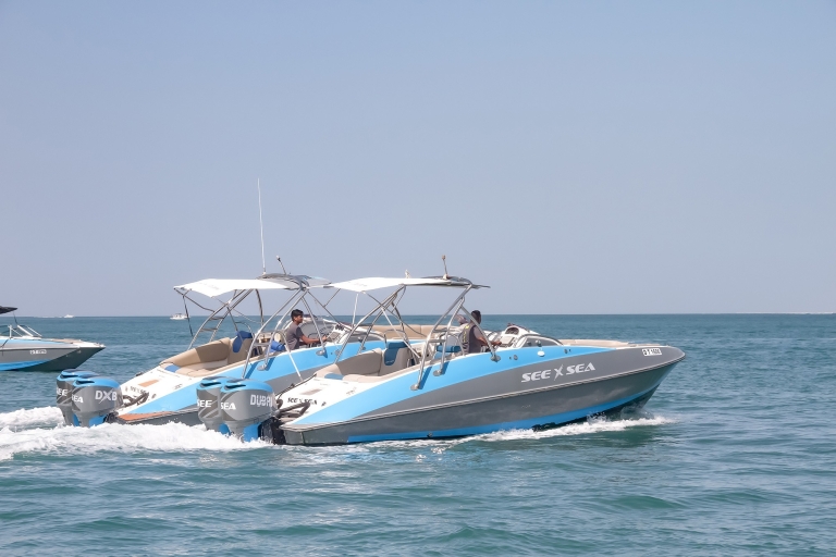 Dubai Marina: Private Bootstour & Palm-Jumeirah-SightseeingDubai: 60-minütige, private Sightseeing-Tour im Luxusboot