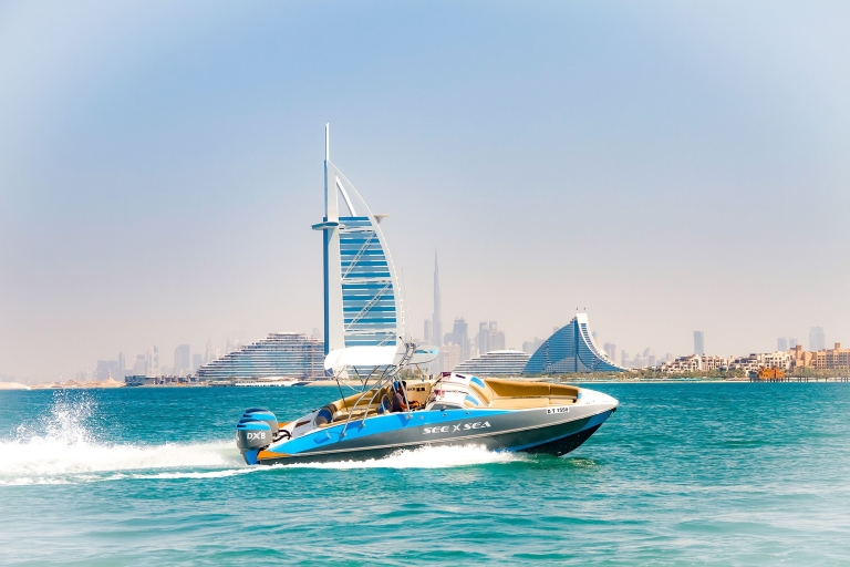 Recorrido turístico privado por DubáiTour privado de 60 minutos por Dubái en barco de lujo