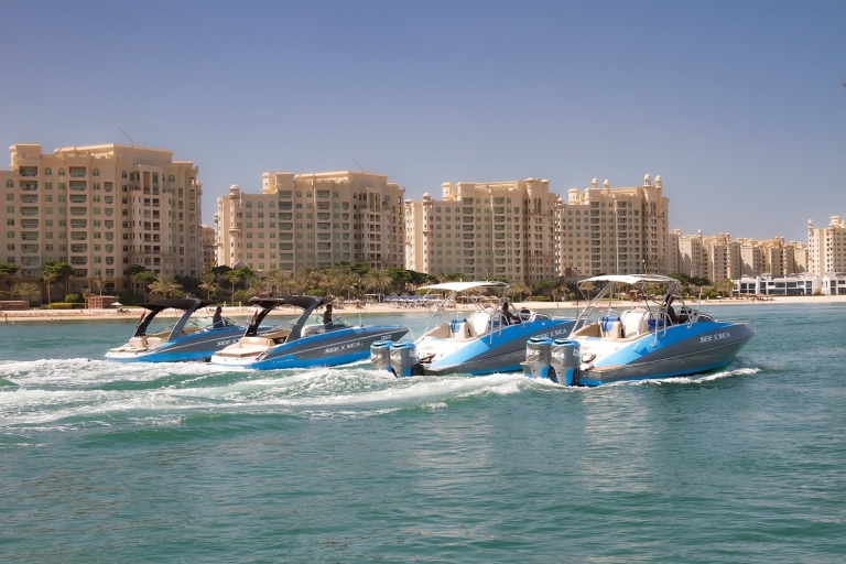 Recorrido turístico privado por DubáiTour privado de 90 minutos por Dubái en barco de lujo