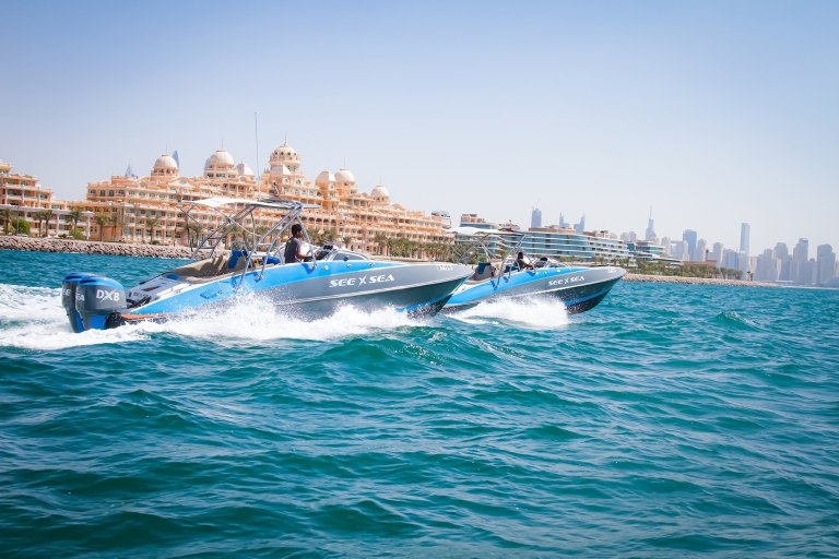 Dubaï : croisière privée dans la marina et Palm JumeirahDubaï : visite privée de 90 min à bord d’un bateau de luxe
