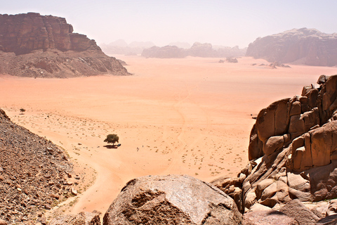 Da Wadi Rum: tour in jeep di 8 ore con pasto e soggiorno di una notte