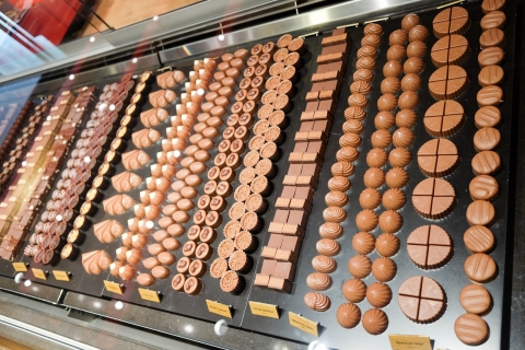 Vanuit Genève: dagtrip Gruyères, kaas- en chocoladeproeverijen