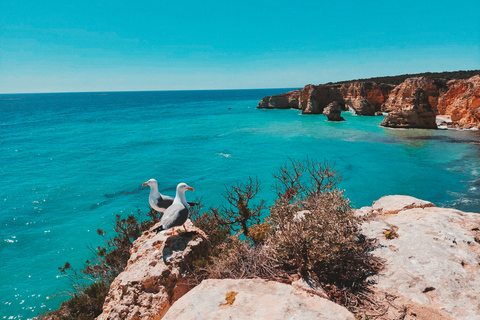 Au départ de Faro : visite d'une journée de la grotte de Benagil, de Marinha et de Carvoeiro