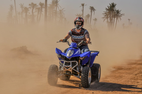 From Marrakech: Palm Grove Quad Bike Tour with Mint Tea