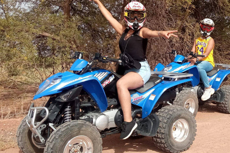 Da Marrakech: Tour in quad del palmeto con tè alla menta