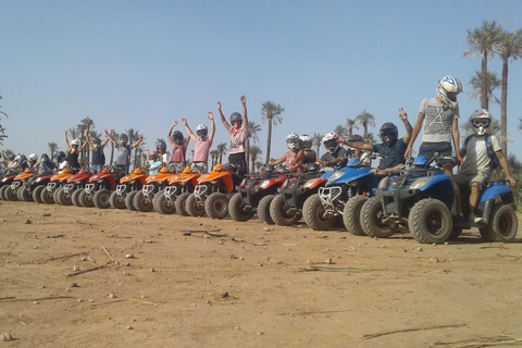 Da Marrakech: Tour in quad del palmeto con tè alla menta