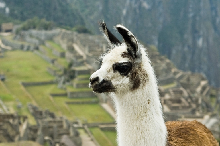 Circuit Inti Raymi et Machu Picchu 5 jours 4 nuits