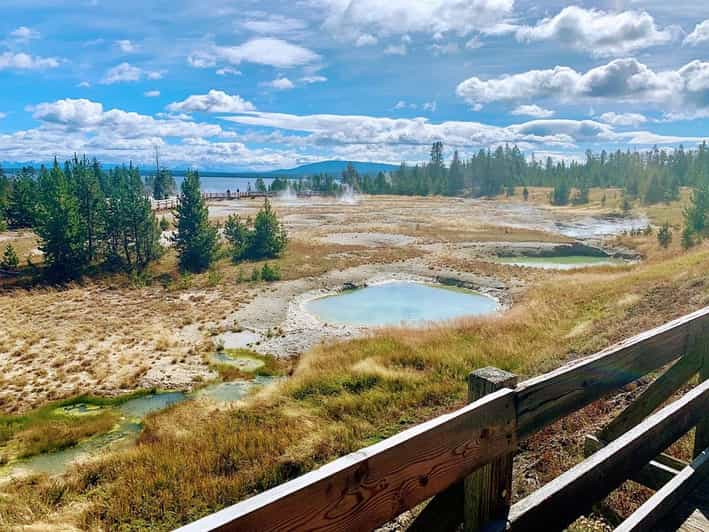 From Gardiner: Yellowstone Canyon & Waterfalls Wildlife Tour | GetYourGuide