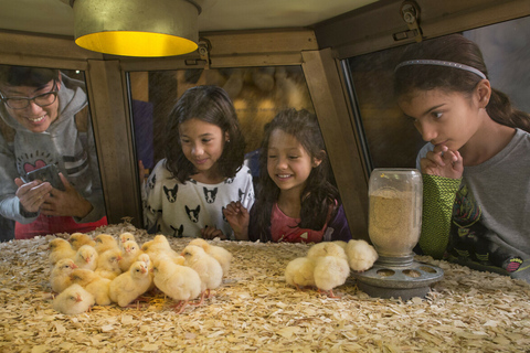 Chicago: Museum of Science and Industry TicketAlgemeen toegangsbewijs voor het museum