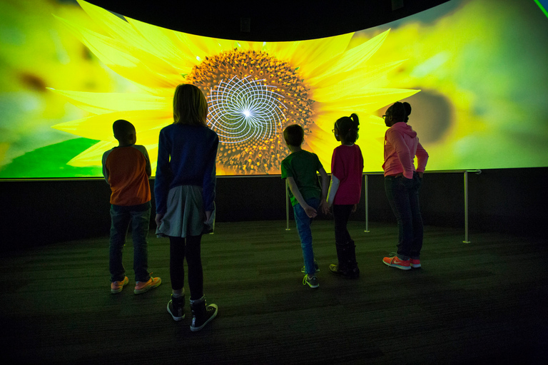 Chicago: Museum of Science and Industry TicketAlgemeen toegangsbewijs voor het museum