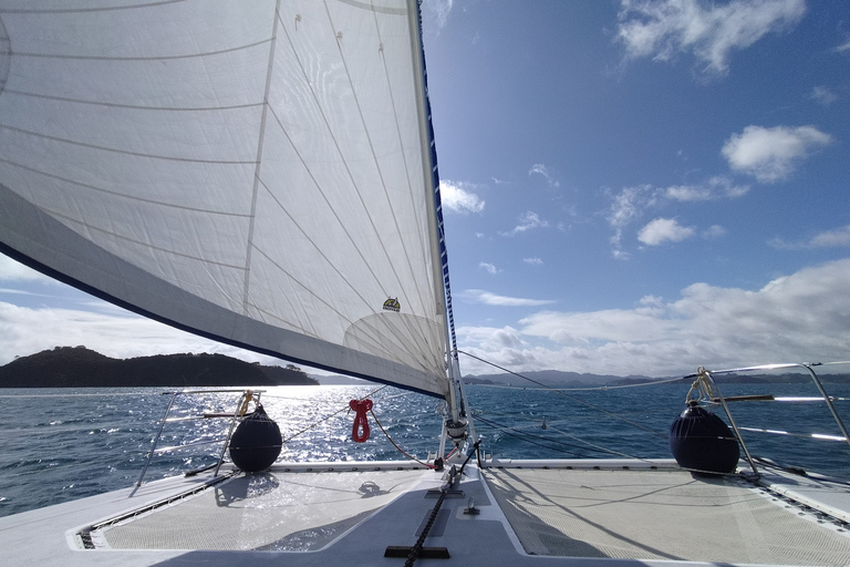 Private Sailing Charter | Bay of Islands | Up to 19 people Private Sailing Charter | Bay of Islands | Up to 10 people