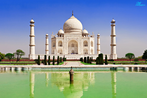 Från New Delhi: Privat utflykt till Taj Mahal i soluppgångTur utan lunch och inträdesavgift