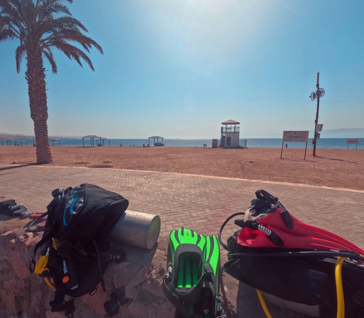 Aqaba's Red Sea: 2 Guided Dives From Shore
