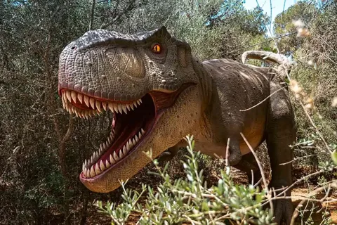 Mallorca: Dinosaurieland Park, Cuevas dels Hams och Porto Cristo Tour