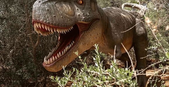 Mallorca: Familientour zu den Coves dels Hams und ins Dinosaurierland
