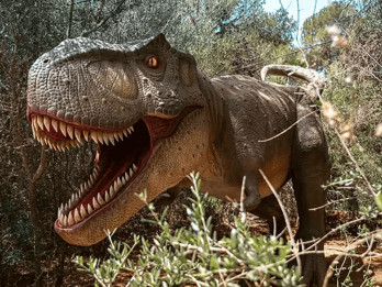 Mallorca: Parque de Dinosaurlandia, Cuevas dels Hams y Excursión a Porto Cristo