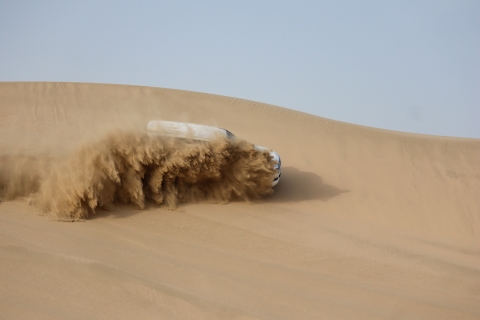 Ab Doha oder Wakra: Private Tagestour in der Wüste