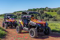 Dirt & Dust Paradise Tour - Buggy Tour 90 min - Housity